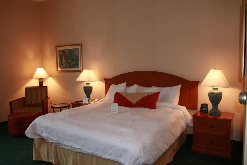 Hilton Garden Inn Minneapolis Saint Paul-Shoreview Habitación foto